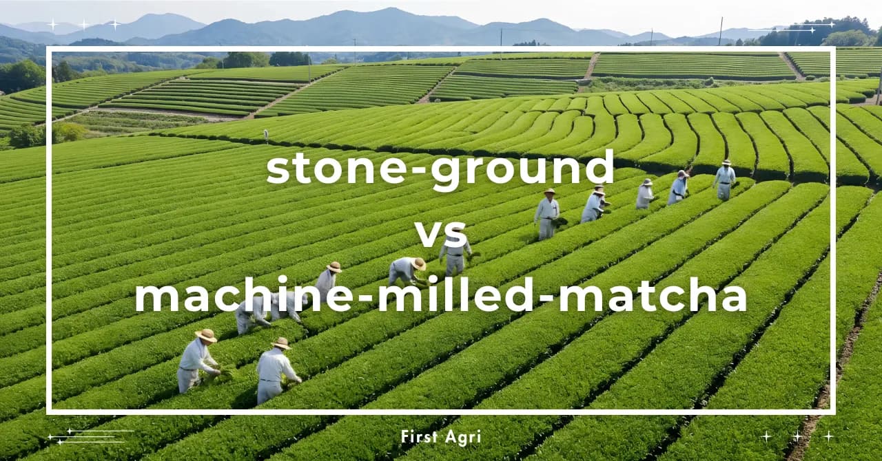 Stone-Ground vs Machine-Milled Matcha: What Actually Matters for Quality