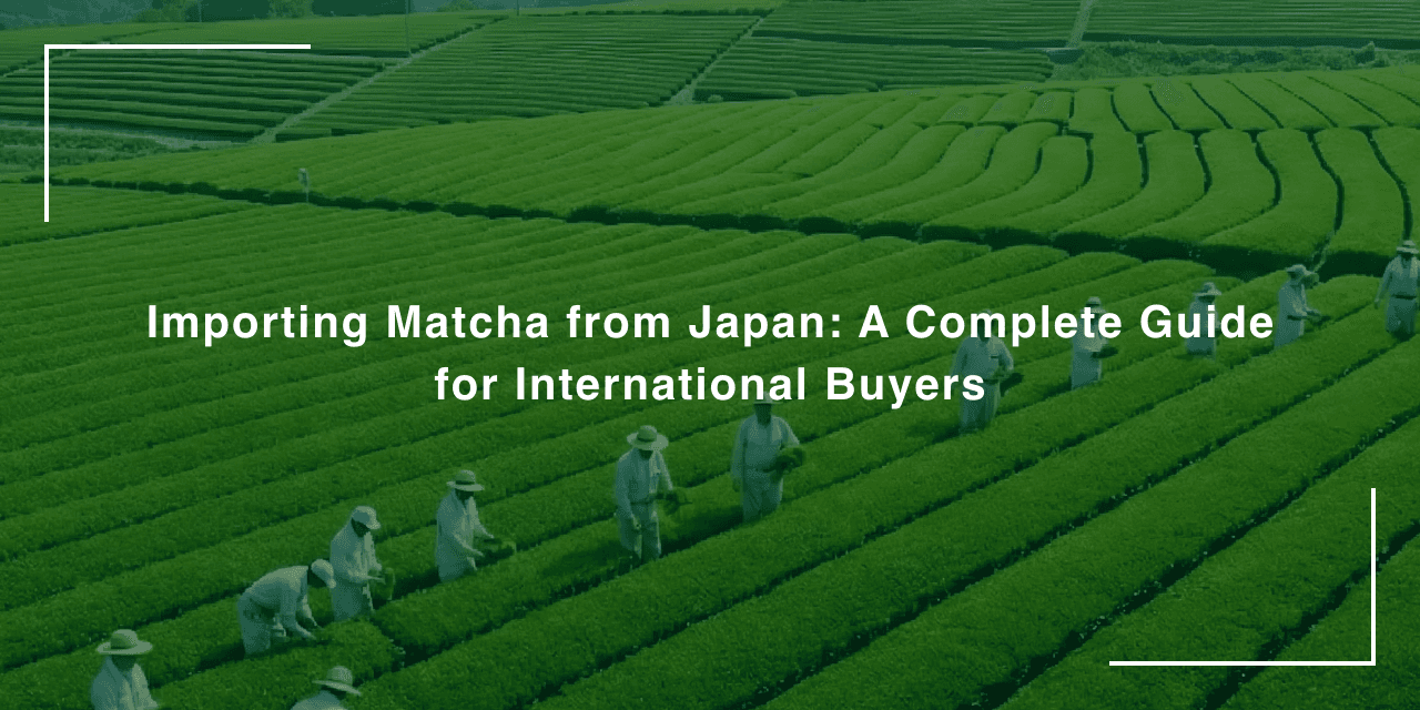 Import Matcha from Japan 2026: Bulk Suppliers, MOQ & Sourcing Guide