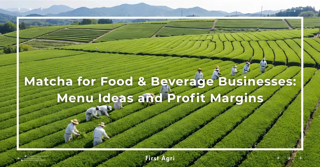 Matcha for Food & Beverage Businesses: Menu Ideas and Profit Margins