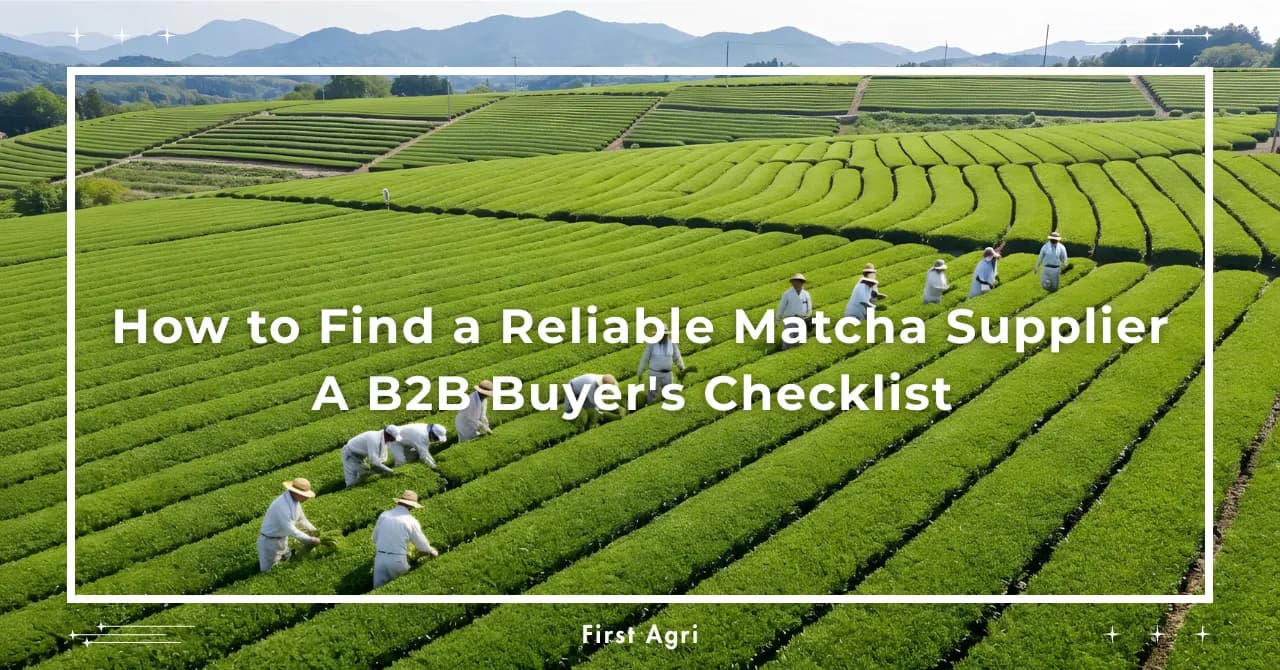 How to Find a Reliable Matcha Supplier: A B2B Buyer's Checklist